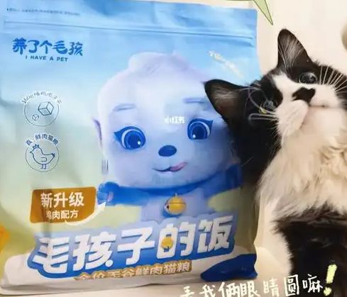 粮！三只松鼠靠什么重返宠物食品赛道开元棋牌网站零食巨头盯上毛孩子口(图2)
