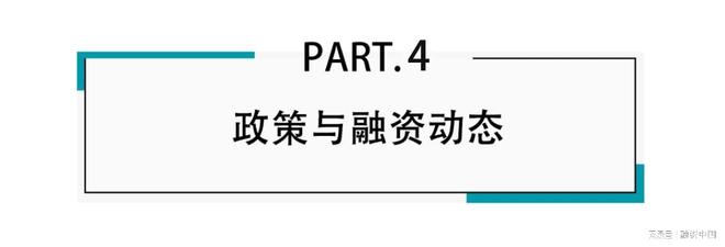：新家庭结构的消费镜像ky开元棋牌宠物经济(图11)
