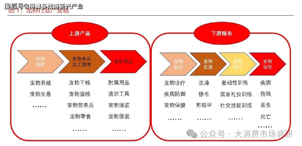 现状与驱动因素分析（15页报告）开元棋牌app宠物食品市场发